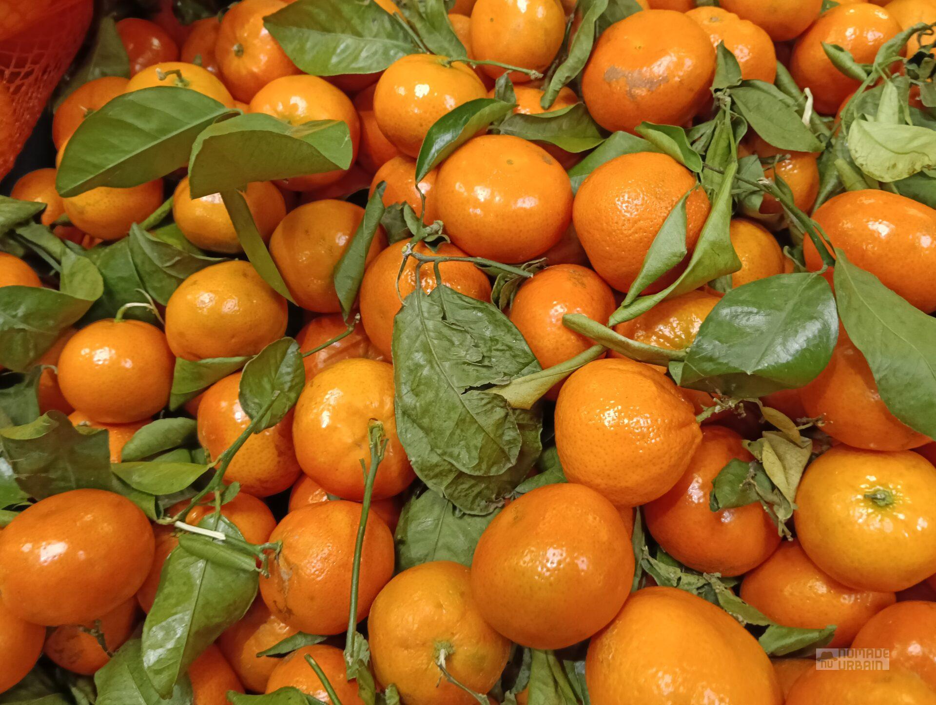 Test Oppo Reno 12 F : Un entrée de gamme 4G équilibré et stylé