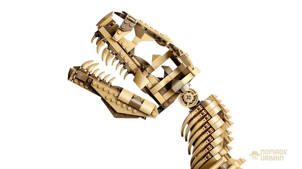 Lego Tyrannosaurus rex : Le fossile de T-Rex de briques et d'os !