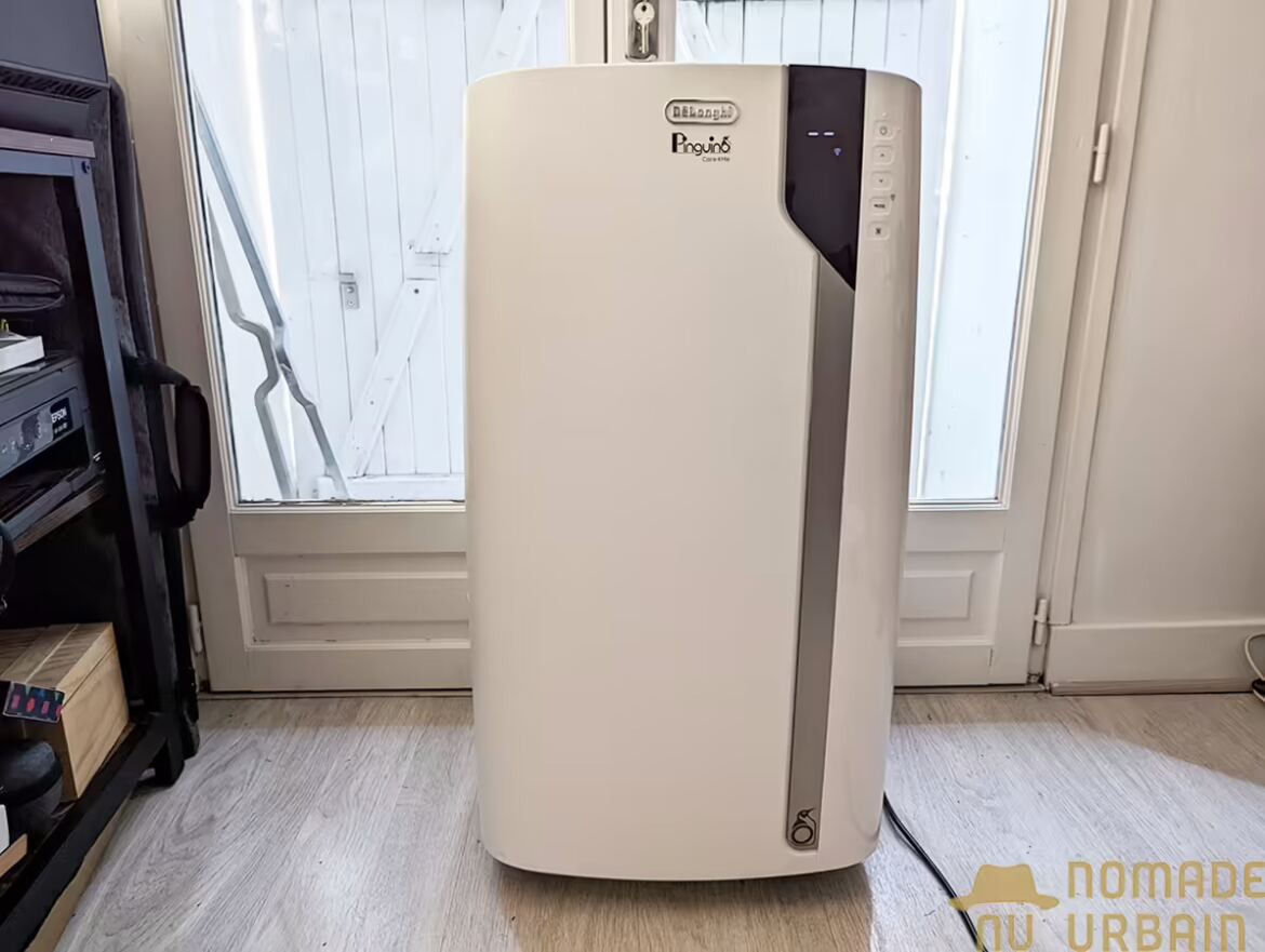 Test Delonghi Pinguino PACEX130
