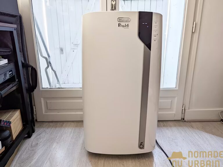 Test Delonghi Pinguino PACEX130