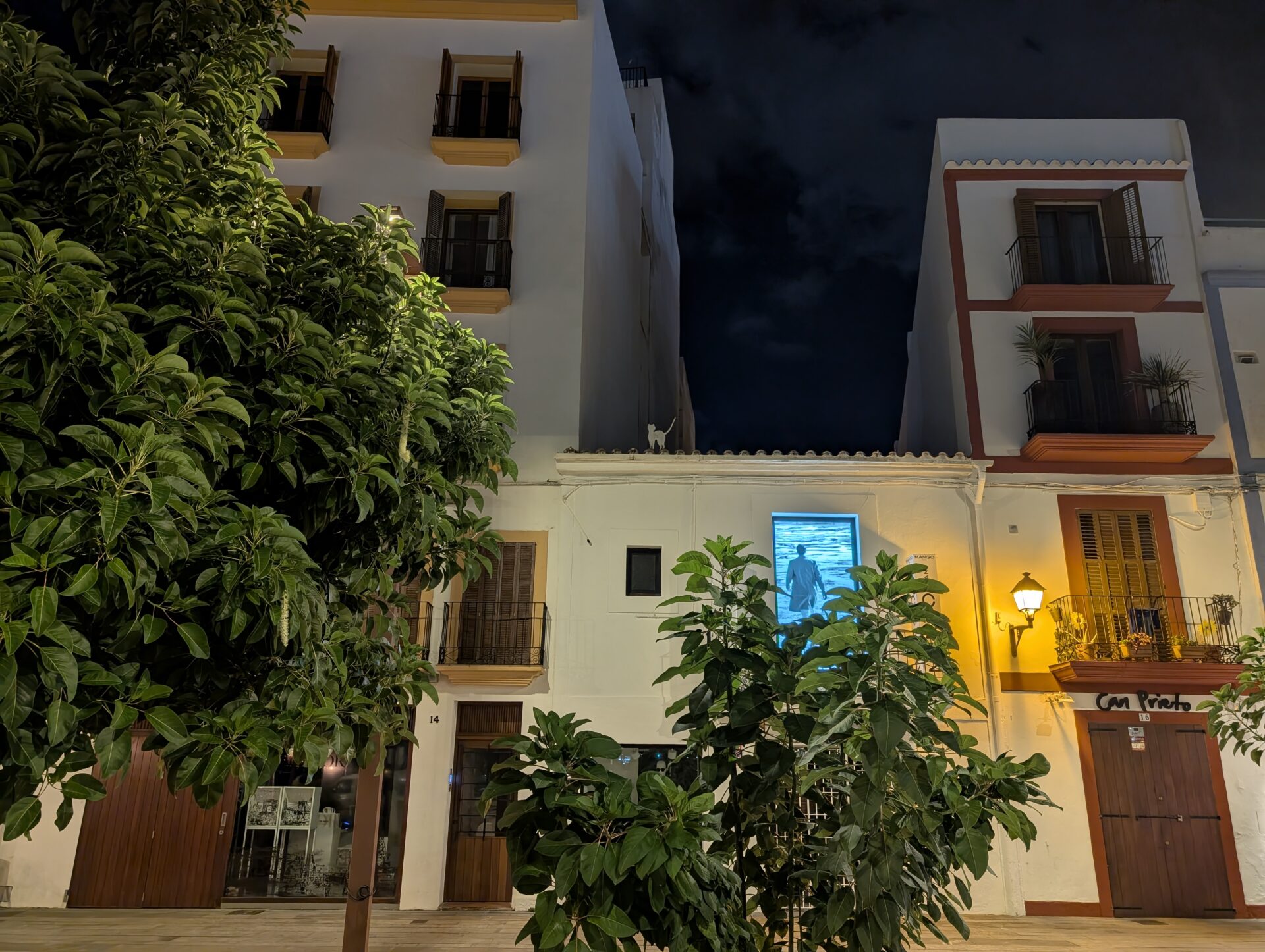 La photo du Google Pixel 9 Pro : une jolie maestria mais encore des limites