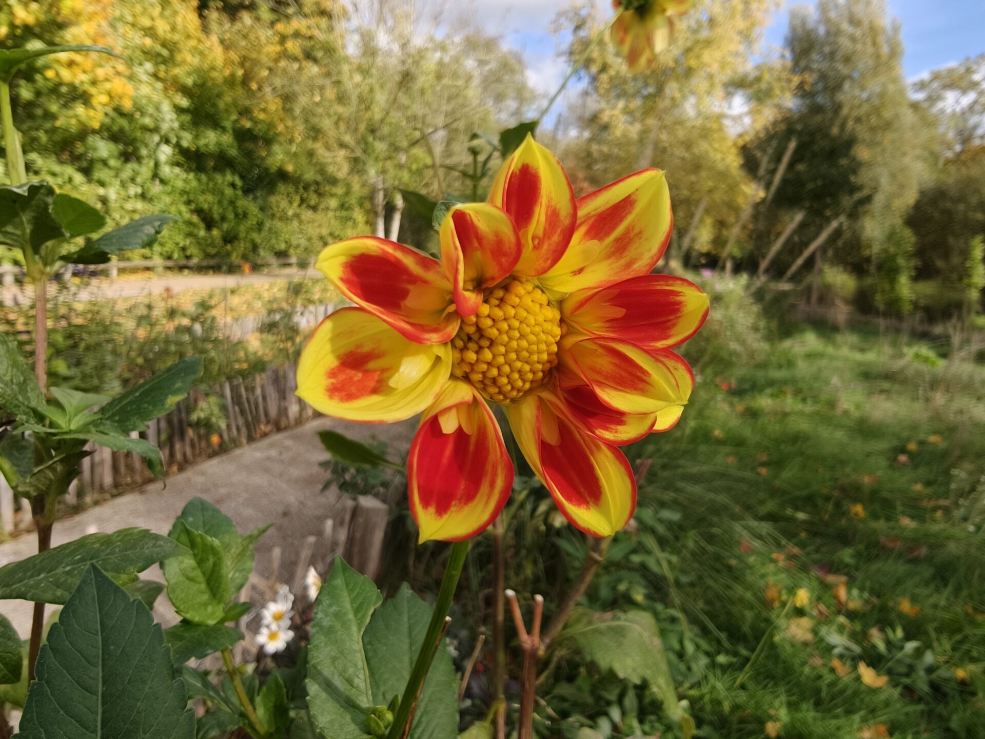 Photo du Oppo Find X9 Pro : une nouvelle configuration matérielle qui fait le show