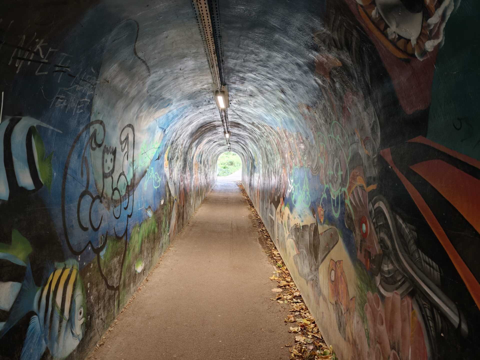 Photo du Oppo Find X9 Pro : une nouvelle configuration matérielle qui fait le show