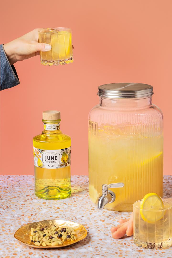 June by G’Vine Gins aromatisés : L’été sans fin 8 Spiritueux originaux, des saveurs à découvrir