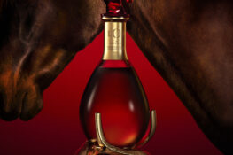 MARTELL Année du Cheval : une collection exclusive… mais pas pour nous