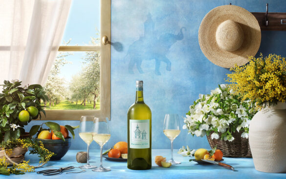 Un Bordeaux blanc qui file droit entre fleur d’oranger, mandarine et fraîcheur minérale