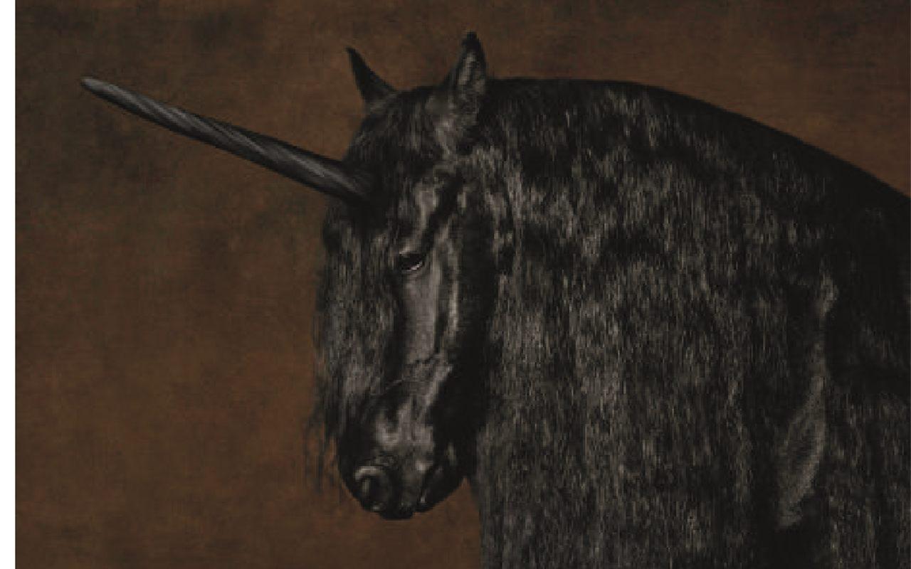 La licorne noire de Marie-Cécile Thijs, œuvre du bestiaire de l'exposition