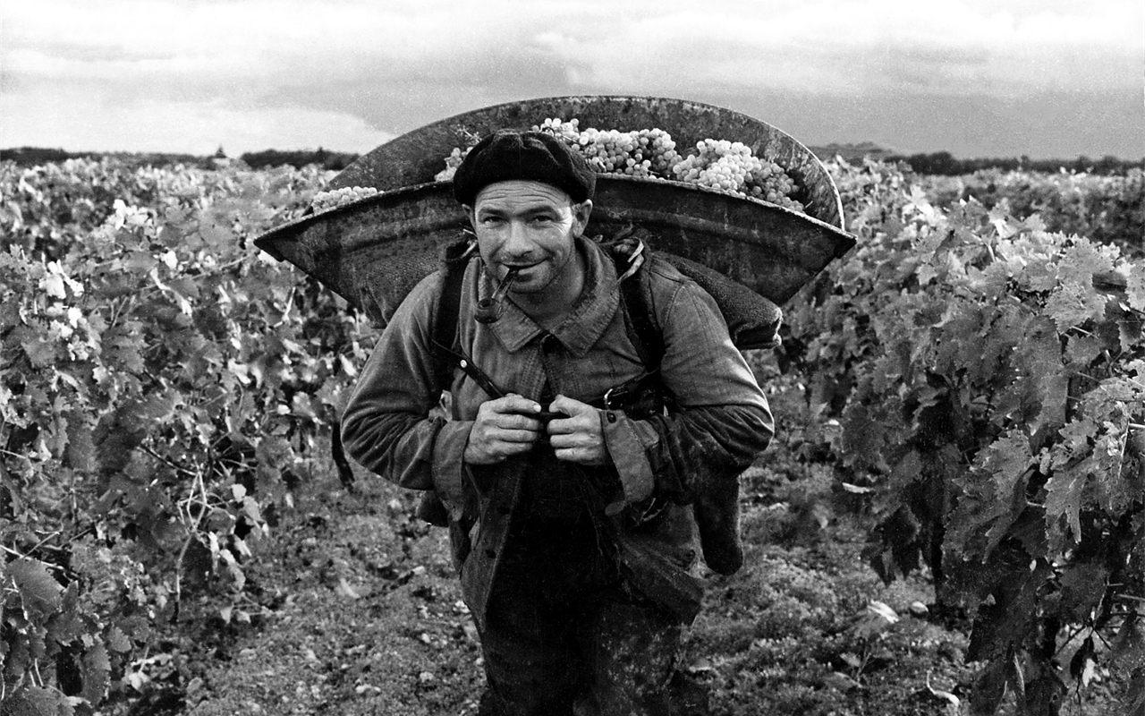Portrait d'un viticulteur de Cognac par Robert Doisneau, 1961