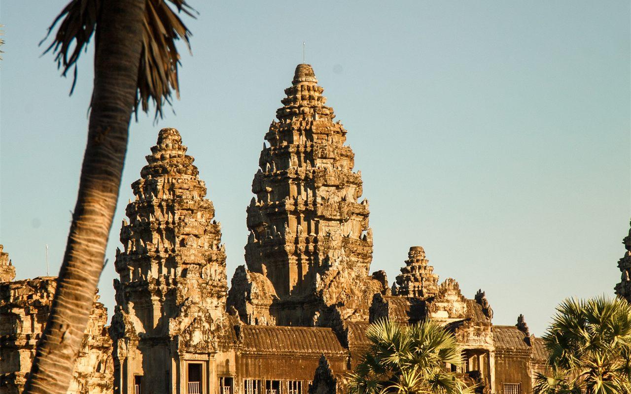 Les tours d'Angkor Wat dorees par la lumiere du matin, entourees de palmiers