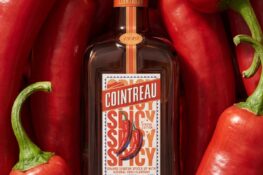 Le sel pimenté au bord du verre, la tequila, le citron vert : dans votre Spicy Margarita, Cointreau Spicy promet un jalapeño qui n&rsquo;efface pas l&rsquo;orange.