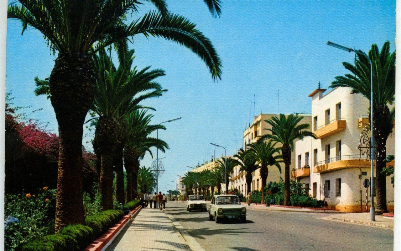 Vue de Larache au Maroc vers 1960, avenue bordée de palmiers