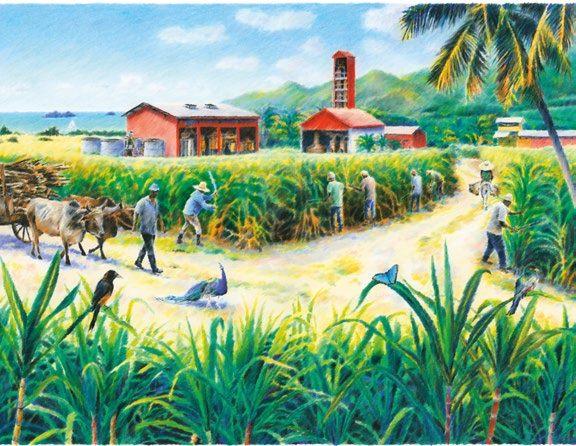 Les îles du rhum dessinées au crayon par Clément Thoby