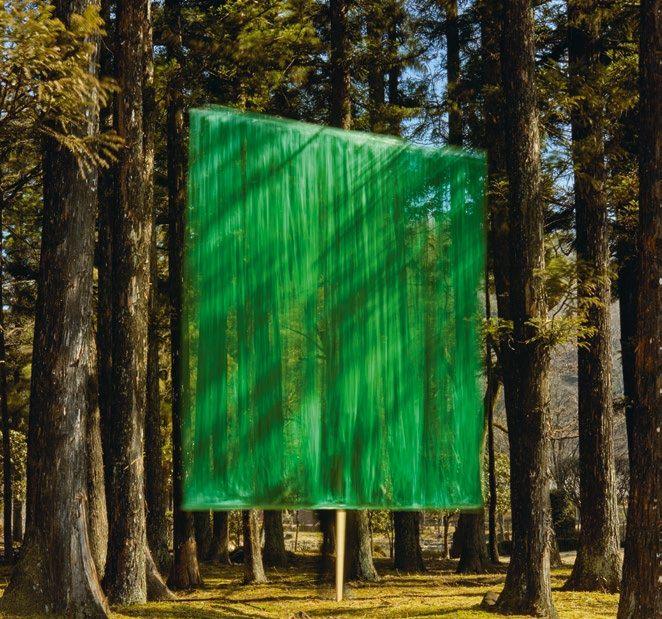 Rideau vert suspendu dans une futaie, photographié par Yoshiki Hase