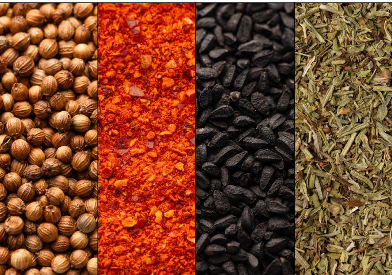 Graines de coriandre, piment broyé, nigelle et herbes séchées côte à côte