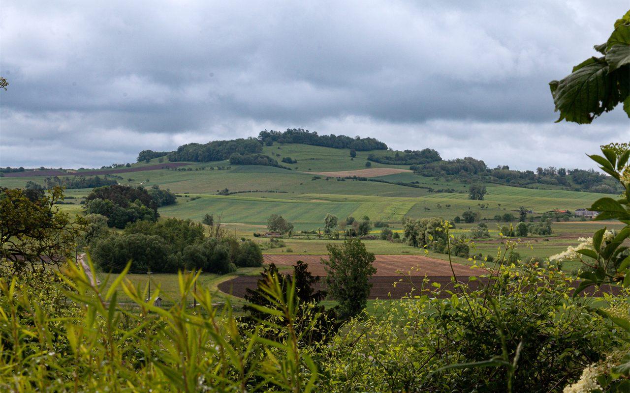 Le volcan éteint d'Essey-la-Côte, face à la distillerie Rozelieures en Lorraine