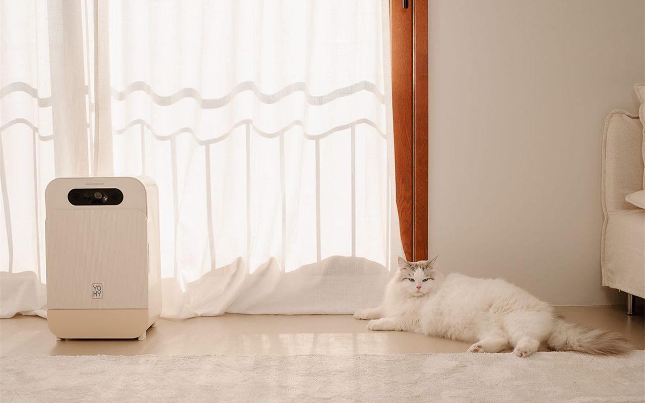 Le distributeur YOMY posé devant une fenêtre, un chat allongé à côté