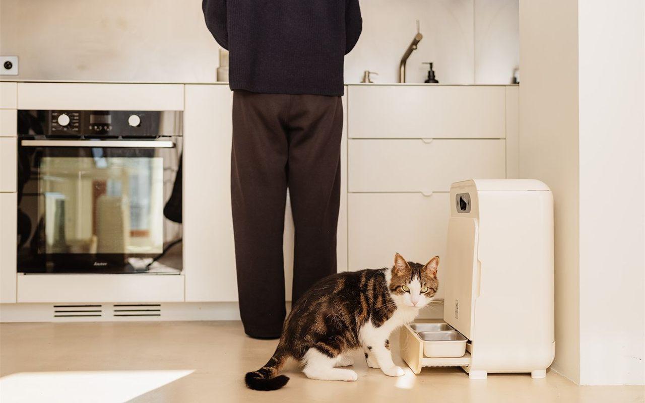 Un chat mange dans le bac déployé du distributeur de pâtée YOMY