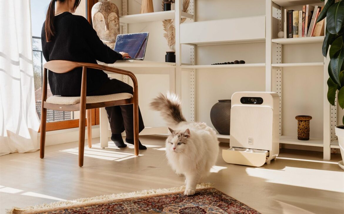 Votre chat mange de la pâtée fraîche plusieurs fois par jour pendant que vous travaillez, et le distributeur YOMY vous envoie sa photo à chaque repas