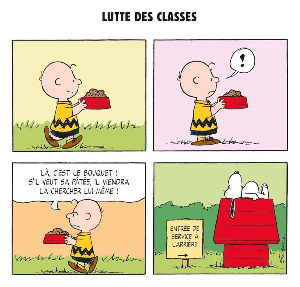 Gag de Snoopy où Charlie Brown apporte la pâtée vers la niche