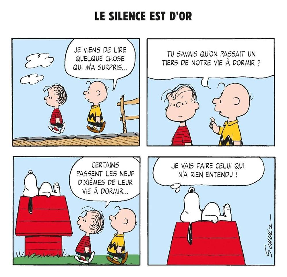 Strip où Charlie Brown et Linus parlent de sommeil devant Snoopy allongé sur sa niche